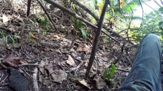 Full Length Version of the video taken by Ian Stuart on Devil's Island (COMPLETE)