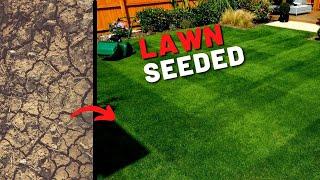 Step by Step Lawn Renovation - Top Dress, Over Seed LEVEL