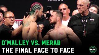 Sean O’Malley vs. Merab Dvalishvili Final Face To Face