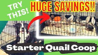 The Perfect Starter Quail Cage for Coturnix Quail | Deep Litter Bedding Method | Guten Yardening