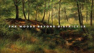 The Woods Beyond District 12