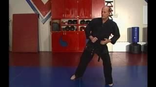 Steve Sexton Hapkido Volume 1 of 3