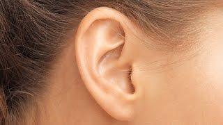 How the Human Ear Works