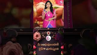 sumantv money purse