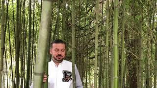 Умножение церкви через наставничество