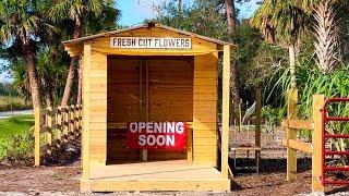 Cut Flower Farming in Florida