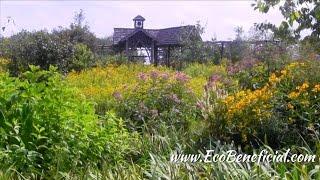 EcoBeneficial Interview: Flying Trillium Gardens and Preserve with Owner & Designer Carolyn Summers