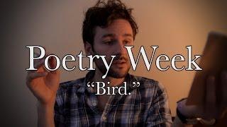 "Bird." A Poem By Benjamin Apple