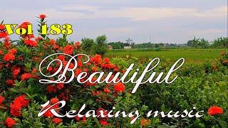 New relaxing instrumental music, Beautiful melody beautify your soul and relieves stress, vol 183