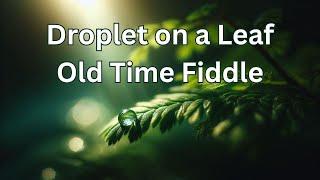 Droplet on a Leaf - Old Time Fiddle Tune