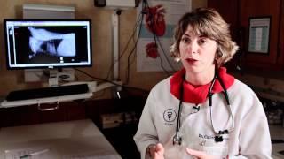 ACVIM Animal Survivor Video Featuring Angel