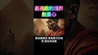 最高維的境界：無量心 #開悟