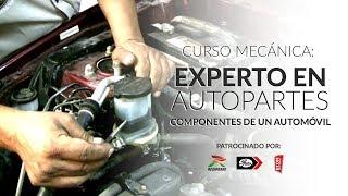 Curso Mecánica: Experto en Autopartes | Componentes de un Automóvil