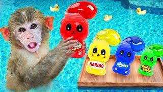 BiBi Monkey enjoy Sweet Honey Bear Jelly Recipe at Summer Swimming Pool | COA Animal