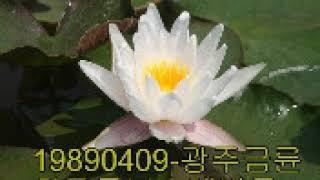 청화큰스님 설법