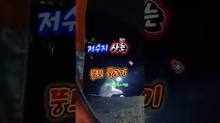 저수지 낚시로 잡은 뚱보 물고기.
