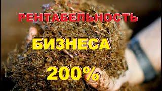 РЕНТАБЕЛЬНОСТЬ ЭТОГО бизнеса ПРЕВЫШАЕТ 200%! Разведение червей: ОСОБЕННОСТИ, ДОХОДНОСТЬ. БИЗНЕС ПЛАН