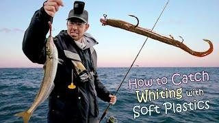 How to Catch WHITING with SOFT PLASTICS !!