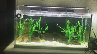 All Pond Solutions LED light
