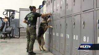 LMDC narcotics K9 unit making an impact in Louisville jail