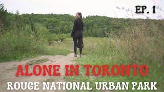 ROUGE NATIONAL URBAN PARK | MAST TRAIL | September 2022