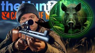 NACHTJAGD mit dem neuen VISIER! Was kann es wirklich?  | theHunter Call of the Wild