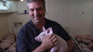 Meet Chris Hoffman - 2019 America's Pig Farmer of the Year