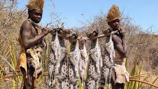 Hadzabe Tribe | Catching and Eating Wild Cats