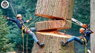 Dangerous Fastest Idiots Cutting Tree Fails Skill With Chainsaw | Tree Falling on Houses #12