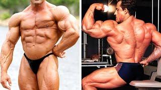 Francis Benfatto – The Most Symmetrical Physique | Mr Aesthetic's Training, Diet and Workout