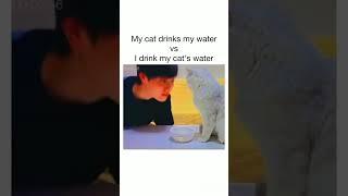 Angry cat… #cat #entertainment #funny #subcriber #youtubeshort #tbt #viral #shorts #meow #justmeow