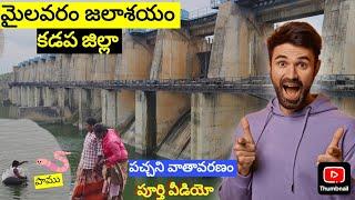 Mylavaram Dam | Jammalamadugu Tour | Gandikota Tour | Dommaranandyala | Kadapa Tour