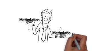COMT Gene - Explainer Video