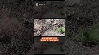 Бахмутська набережна: Бахмут сьогодні  #війна #бахмут #бахмутзараз #бахмутновости #переселенці