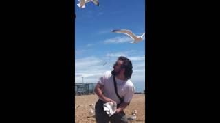 Alex Cameron Presents Episode 1: Seagulls