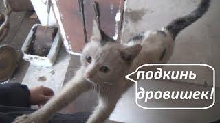 теплоаккумулятор из еврокуба с котлом уже две зимы