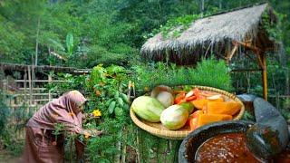 Rujak Mangga muda, kedondong, pepaya |Aktifitas di Kebun Hidup di Desa