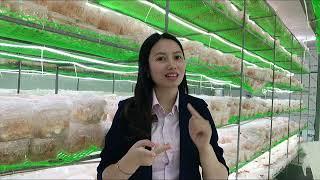 Giới Thiệu Kênh Youtube | Trùng Thảo Nguyên Nhi