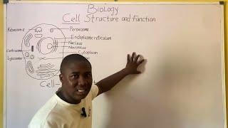 Cell Biology | Cell Structure and Cell Function