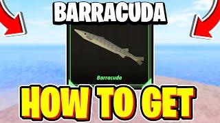 How To CATCH BARRACUDA In Fisch! Roblox