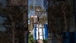 Указатель в Светлогорске