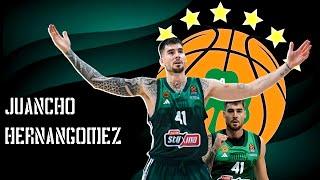 Juancho Hernangómez • Panathinaikos BC • Highlights 2023/24 (4K)