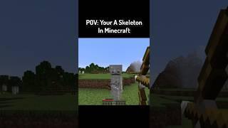 POV: Your A Skeleton In Minecraft