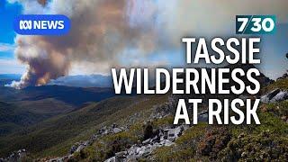 Fires continue to burn in Tasmania's west, putting wilderness areas at risk | 7.30