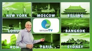 Skyleaf Eco TV