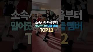 소속사가 처음부터 밀어줬던 아이돌 멤버 TOP12