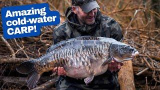 Winter CARP FISHING at Horcott Lakes