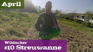 Wildacker #10 Aussaat mit der Streuwanne | April | Ein Jagdjahr durchs Jagdrevier