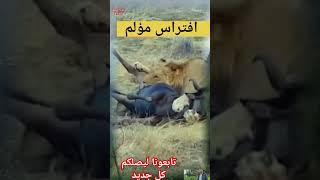 @ عالم الطبيعة