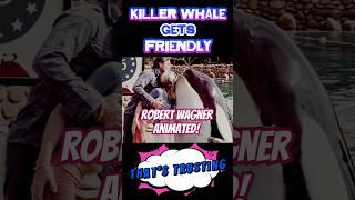 ROBERT WAGNER Kissed by a Killer in 1976 #seaworld   #RobertWagner #piccityanimations #animation